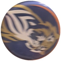 Tigre doré et blanc, liseré orange
