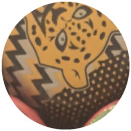 Jaguar sur zigzags jaunes
