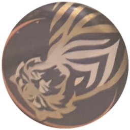 Tigre doré et blanc, liseré orange