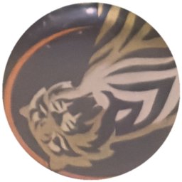 Tigre doré et blanc, liseré orange