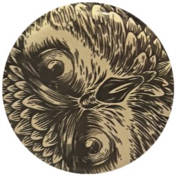 Hibou gravé