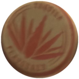 Agave rouge sur beige