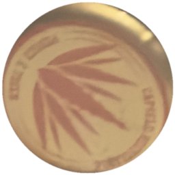 Agave rouge sur beige