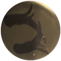 Silhouettes sombres sur beige