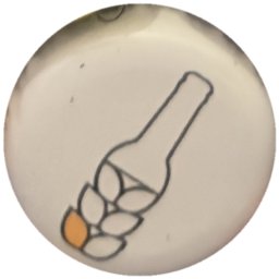 Bouteille et épi sur blanc