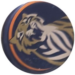 Tigre doré et blanc, liseré orange