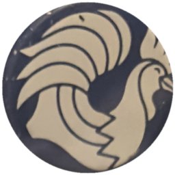 Coq blanc aux plumes en vagues sur bleu nuit