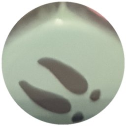 Empreintes de pas noires sur vert d'eau