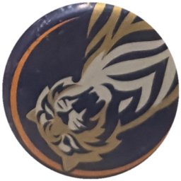 Tigre doré et blanc, liseré orange