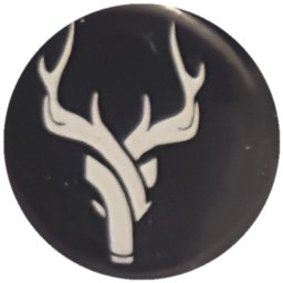 Bois de cerf blanc sur noir