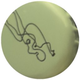 Dessin femme noir sur vert clair