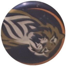 Tigre argenté sur bleu marine