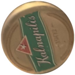 Kalnapilis dorée