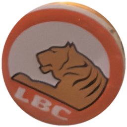 LBC tigre