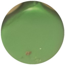 Unie verte