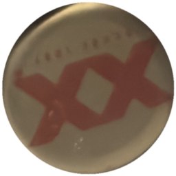 Dos Equis XX