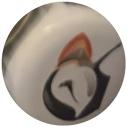 Oiseau noir et blanc à crête orange