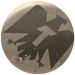 Oiseau gris sur blanc
