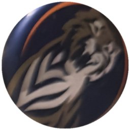 Tigre doré et blanc, liseré orange