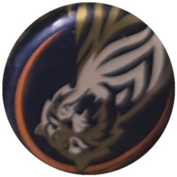 Tigre doré et blanc, liseré orange