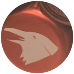 Tête d'oiseau blanche sur rouge