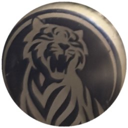 Tigre argenté sur bleu marine