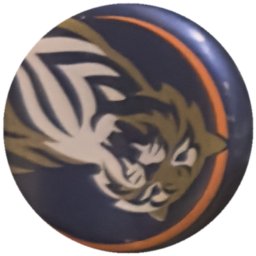 Tigre doré et blanc, liseré orange