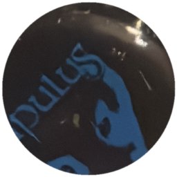 Lupulus (loup bleu sur noir)