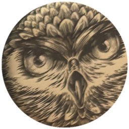 Hibou gravé