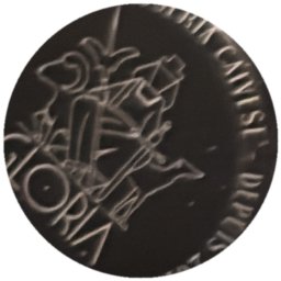 Gloria Brasserie Caivese (noire)